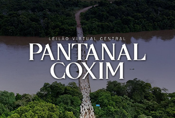 LEILÃO VIRTUAL CENTRAL PANTANAL COXIM